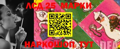 Альфа ПВП Кандалакша