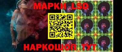 Альфа ПВП Кандалакша