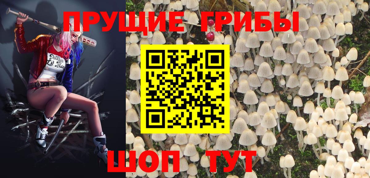 Усть-Кут  Псилоцибиновые грибы GOLDEN TEACHER  Вход с VPN 